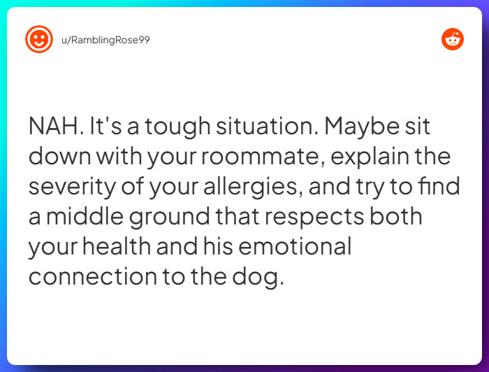 Comment from u/RamblingRose99