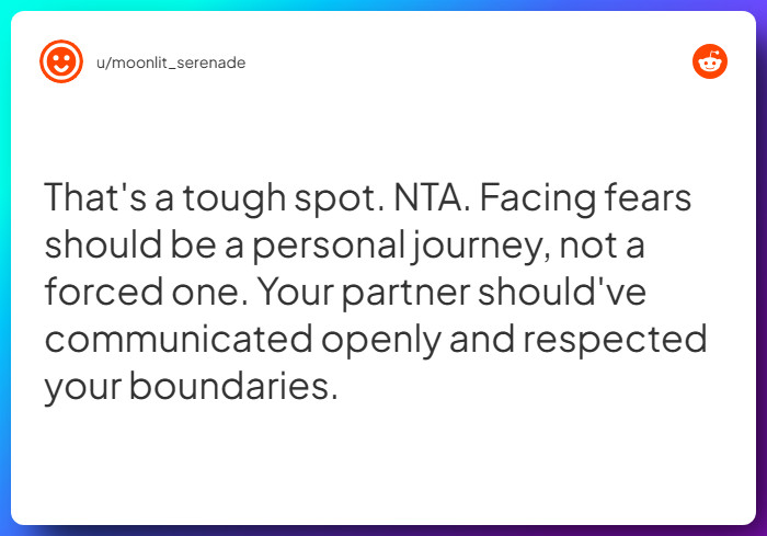 Comment from u/moonlit_serenade