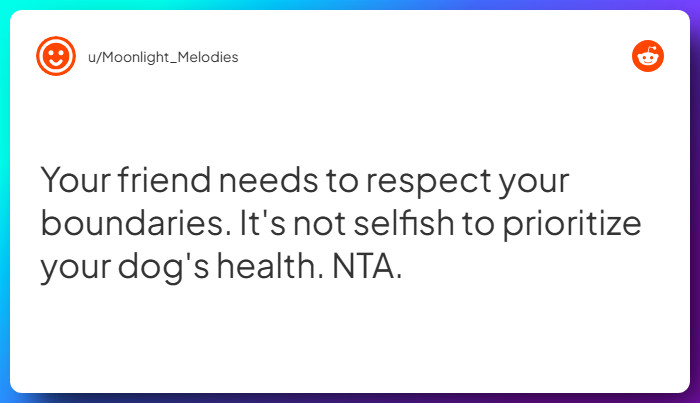 Comment from u/Moonlight_Melodies