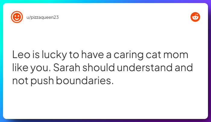 Comment from u/pizzaqueen23