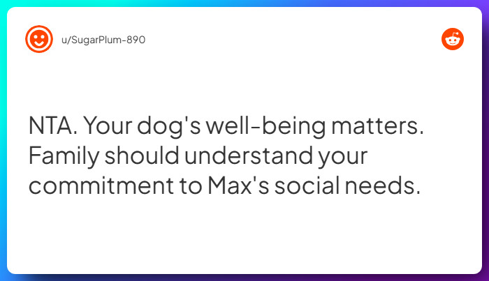 Comment from u/SugarPlum-890