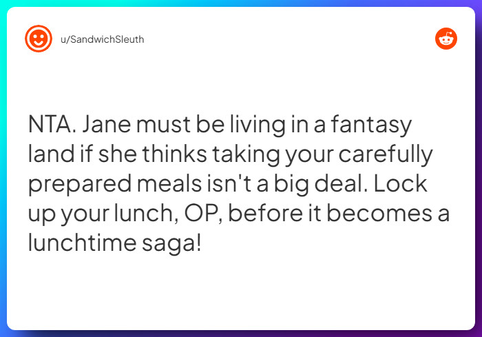 Comment from u/SandwichSleuth