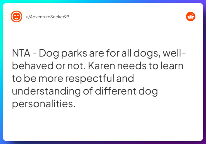 Comment from u/AdventureSeeker99