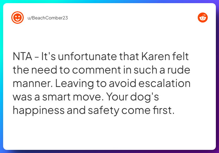 Comment from u/BeachComber23