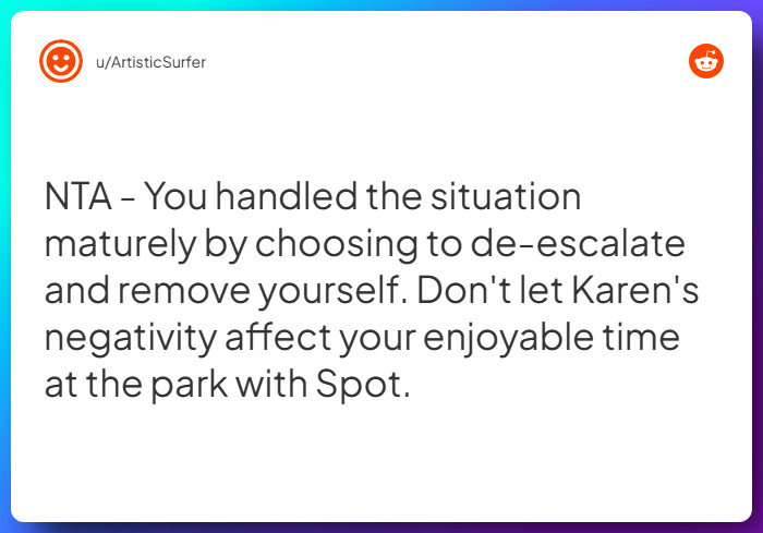 Comment from u/ArtisticSurfer