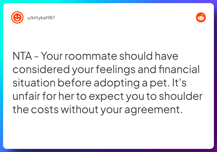 Comment from u/kittykat987