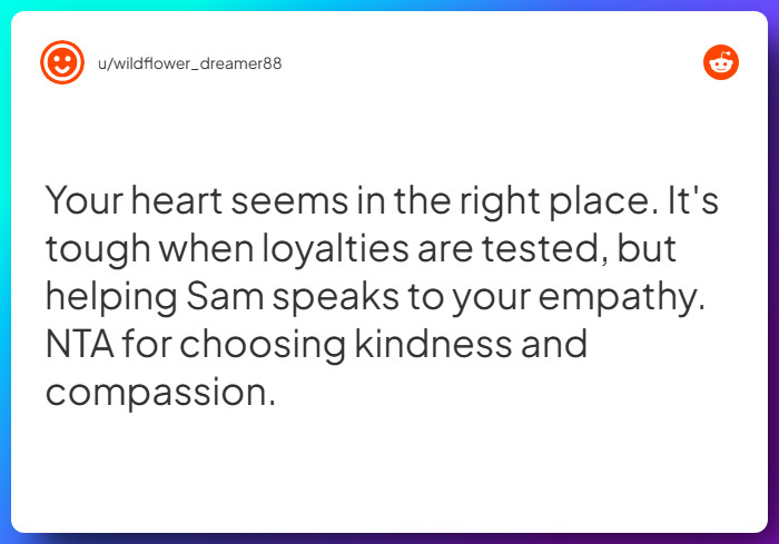 Comment from u/wildflower_dreamer88