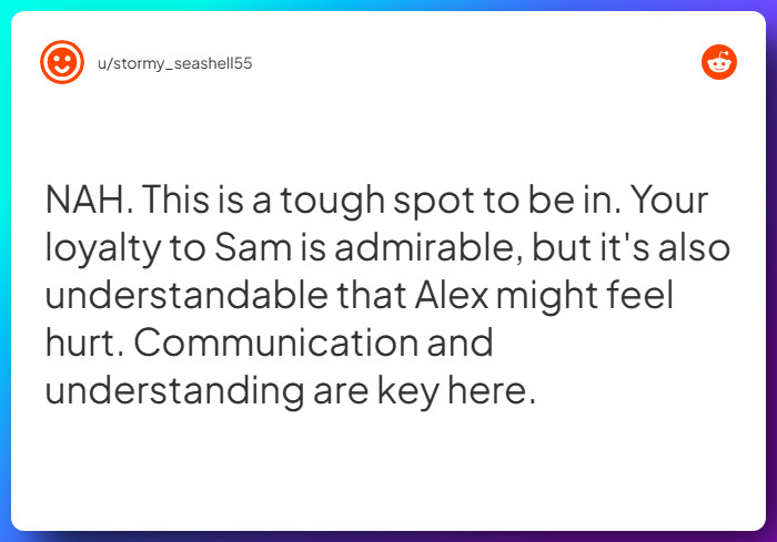 Comment from u/stormy_seashell55