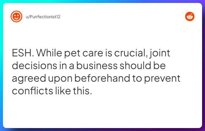 Comment from u/Purrfectionist12