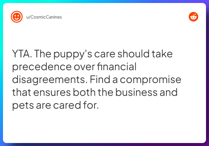 Comment from u/CosmicCanines