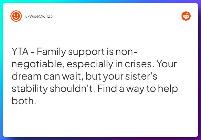 Comment from u/WiseOwl123