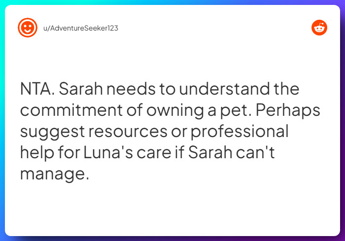 Comment from u/AdventureSeeker123