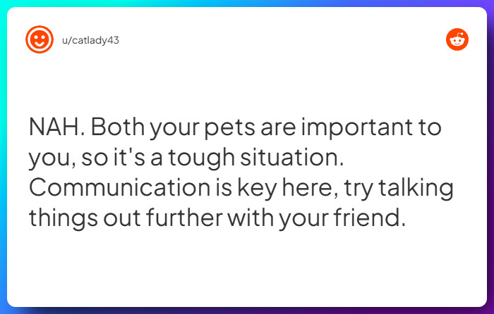 Comment from u/catlady43