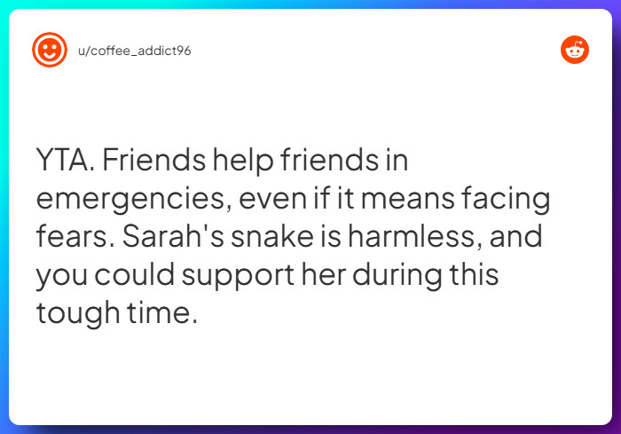 Comment from u/coffee_addict96