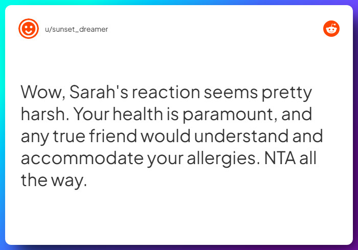 Comment from u/sunset_dreamer