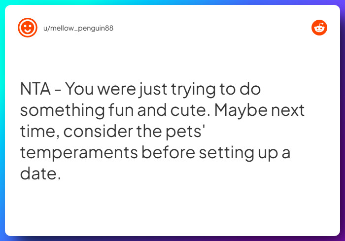 Comment from u/mellow_penguin88