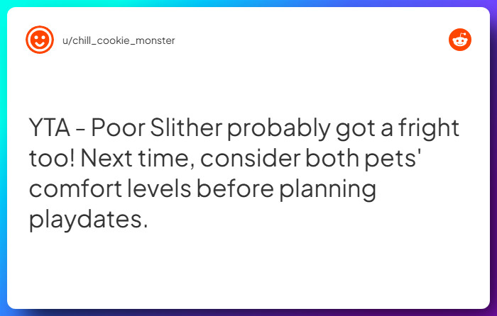 Comment from u/chill_cookie_monster