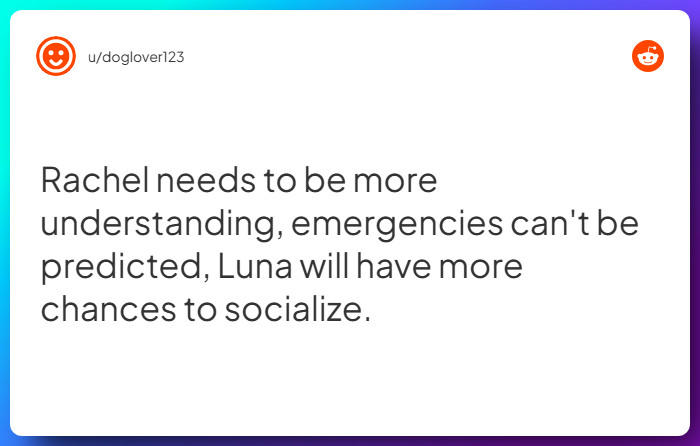 Comment from u/doglover123