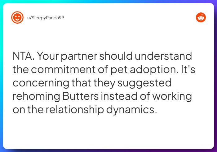 Comment from u/SleepyPanda99