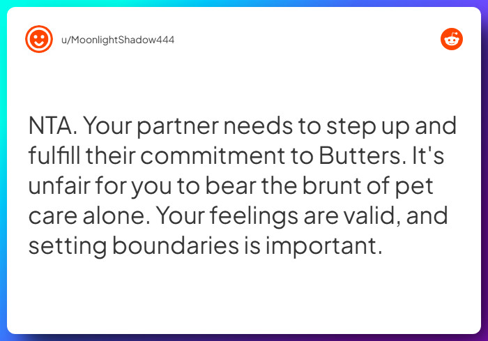 Comment from u/MoonlightShadow444