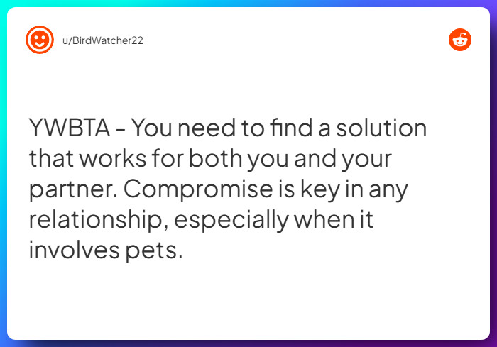 Comment from u/BirdWatcher22