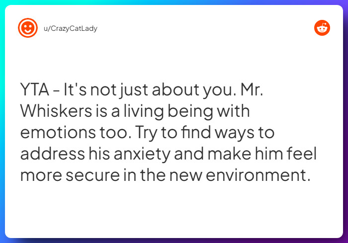 Comment from u/CrazyCatLady