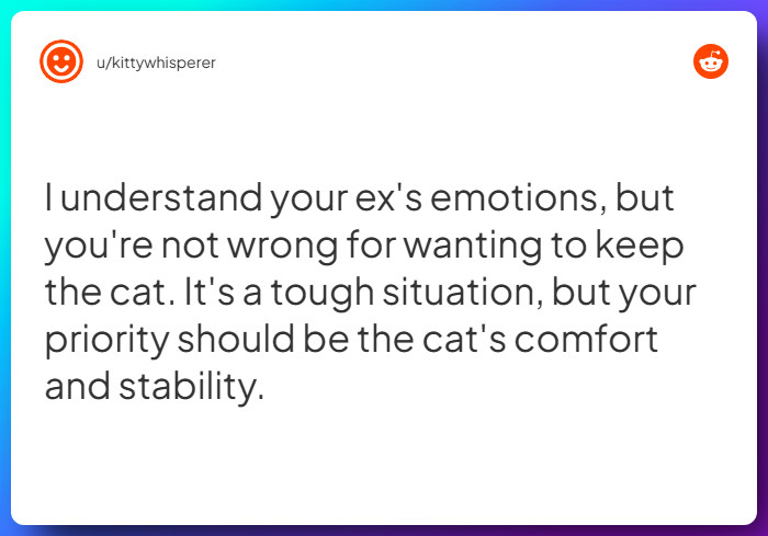 Comment from u/kittywhisperer