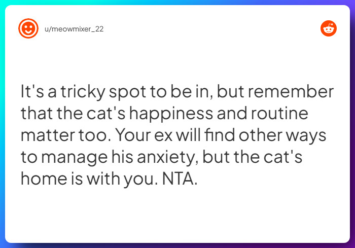 Comment from u/meowmixer_22