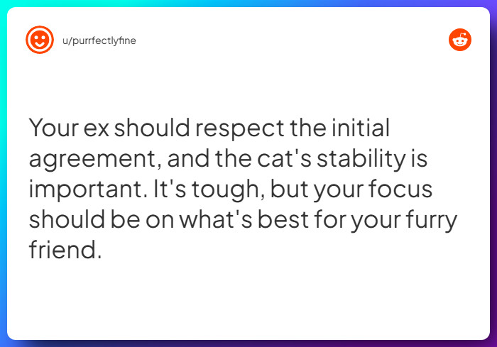 Comment from u/purrfectlyfine