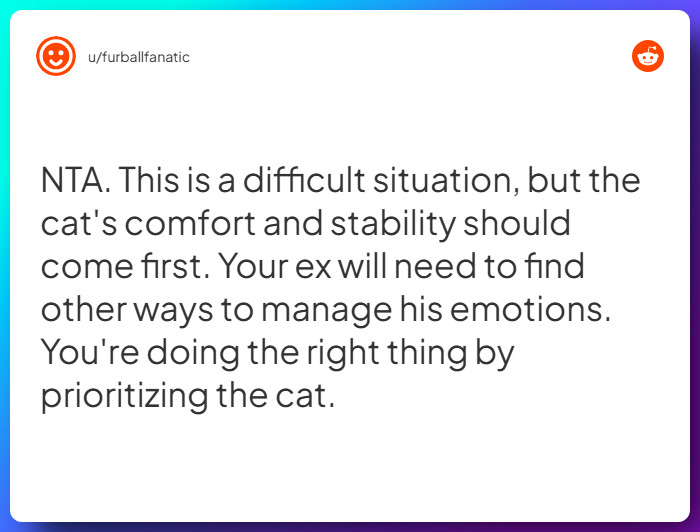 Comment from u/furballfanatic