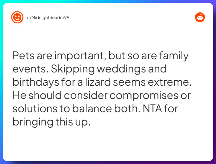 Comment from u/MidnightReader99