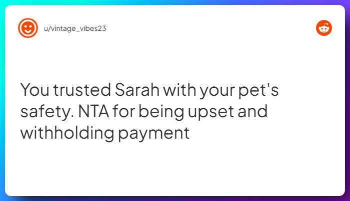 Comment from u/vintage_vibes23