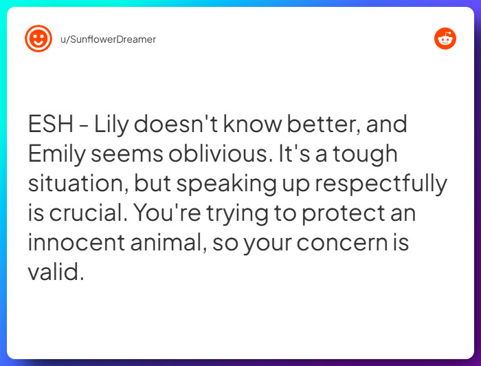 Comment from u/SunflowerDreamer