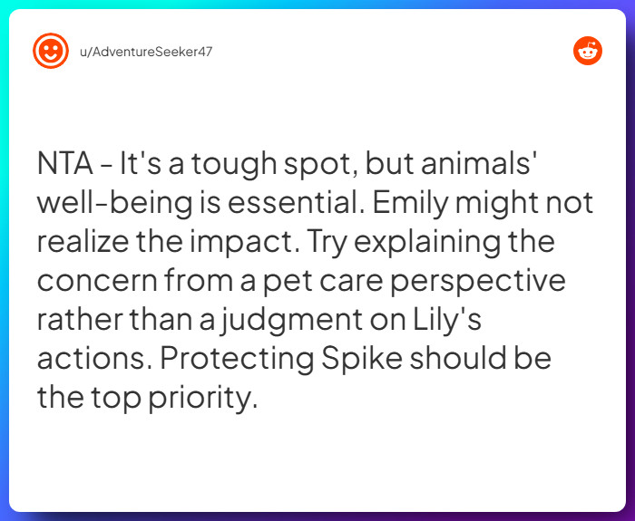 Comment from u/AdventureSeeker47