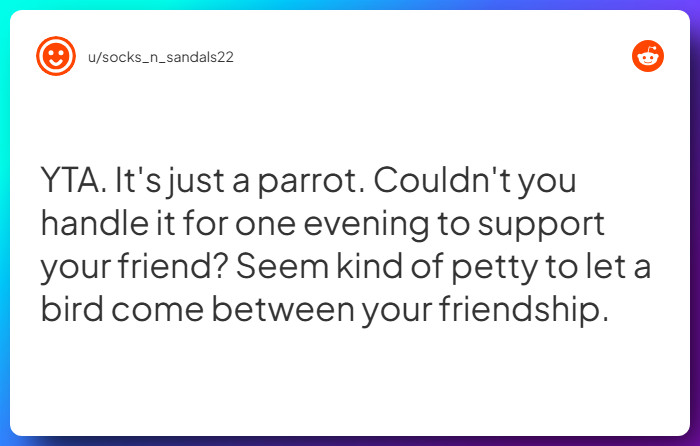 Comment from u/socks_n_sandals22