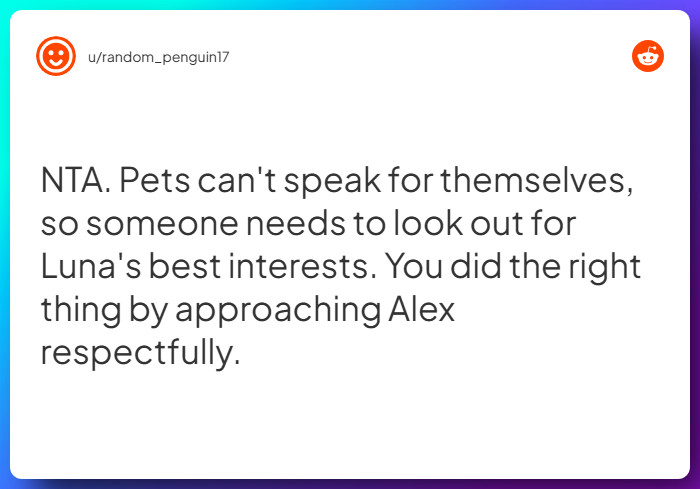 Comment from u/random_penguin17