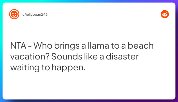 Comment from u/jellybean246