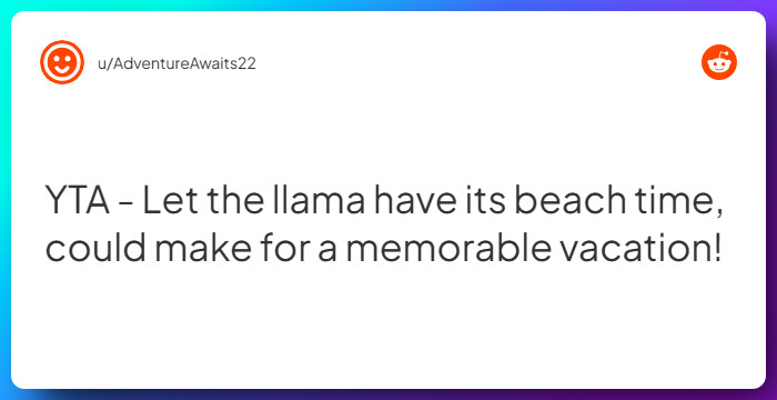 Comment from u/AdventureAwaits22