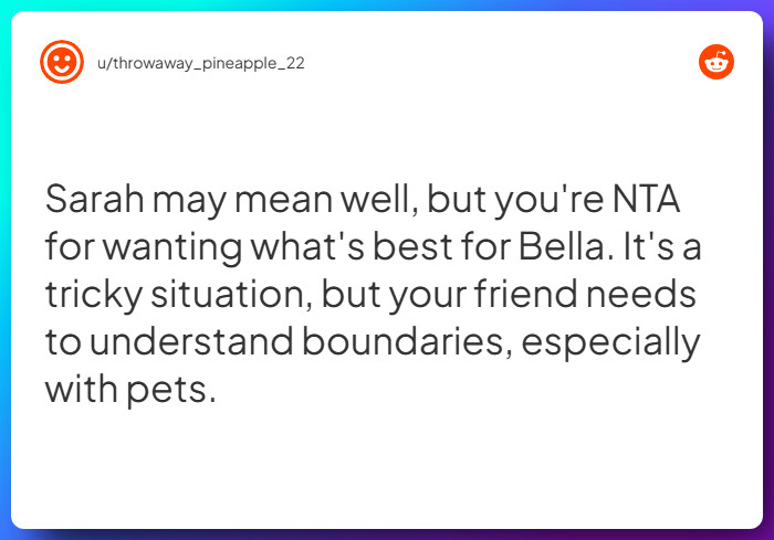 Comment from u/throwaway_pineapple_22