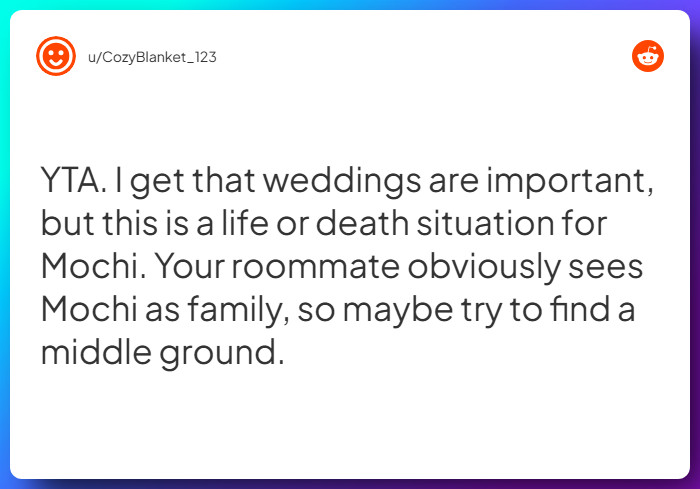 Comment from u/CozyBlanket_123