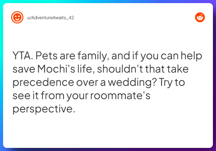 Comment from u/AdventureAwaits_42