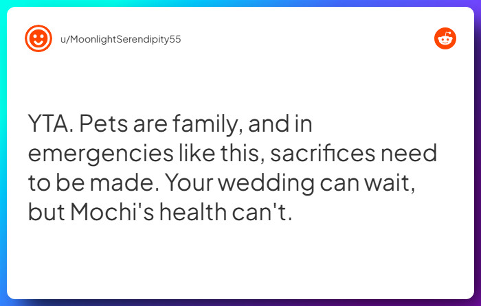 Comment from u/MoonlightSerendipity55