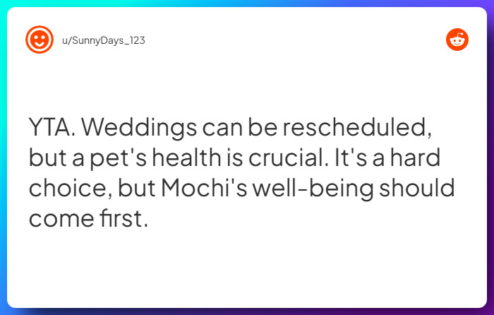 Comment from u/SunnyDays_123