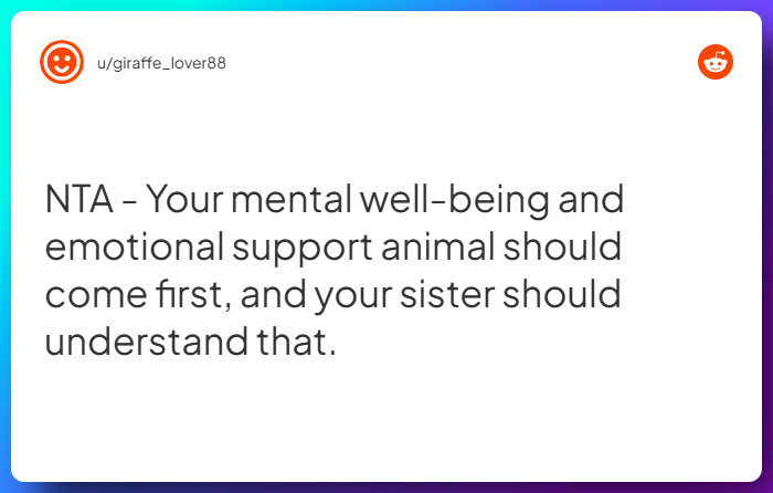 Comment from u/giraffe_lover88