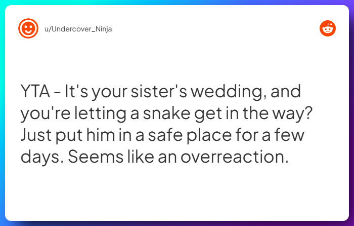 Comment from u/Undercover_Ninja