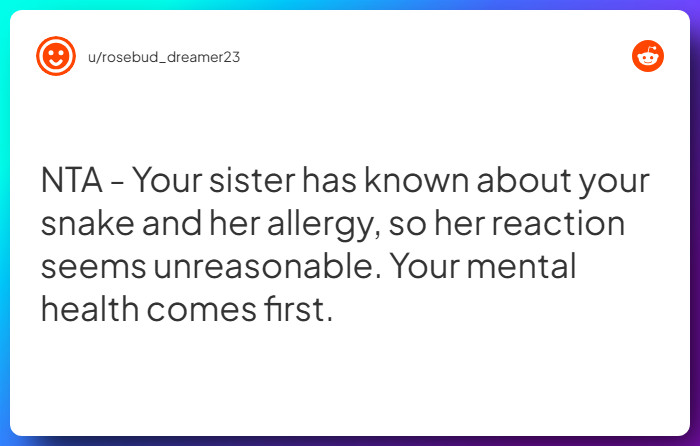 Comment from u/rosebud_dreamer23