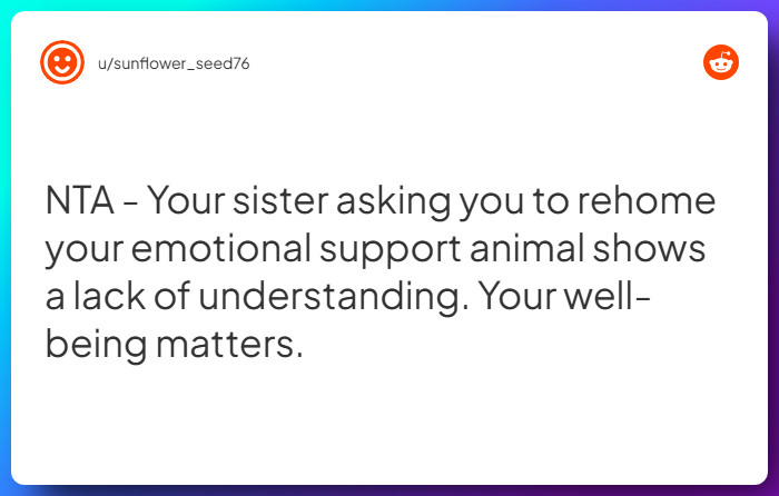 Comment from u/sunflower_seed76