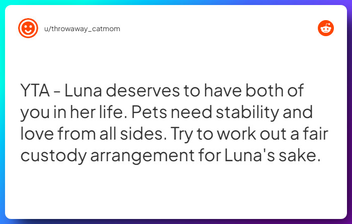 Comment from u/throwaway_catmom