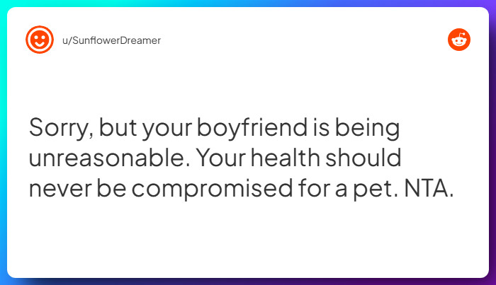 Comment from u/SunflowerDreamer