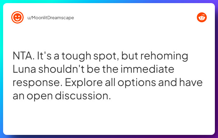 Comment from u/MoonlitDreamscape